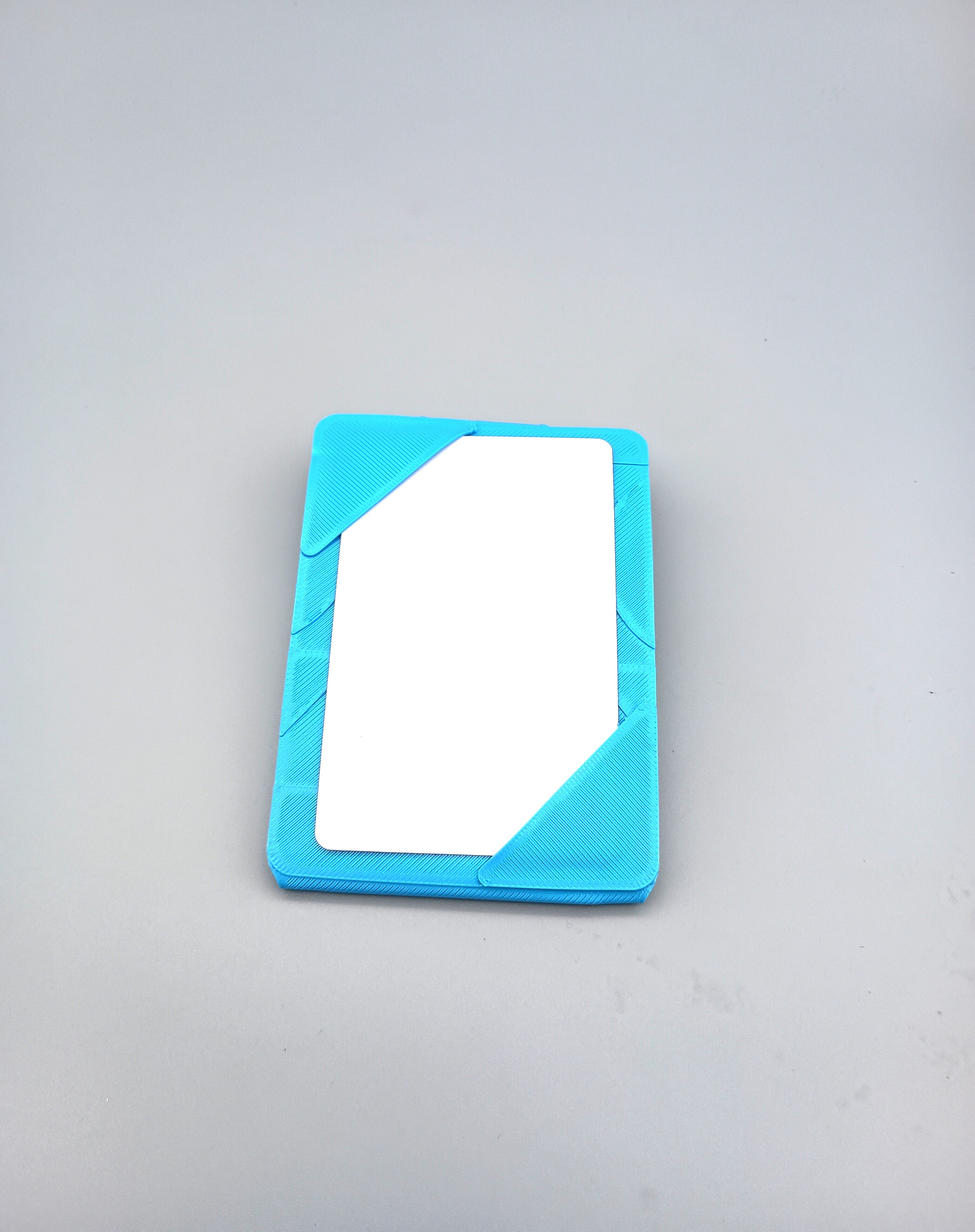 Nomad's ID & badge holder