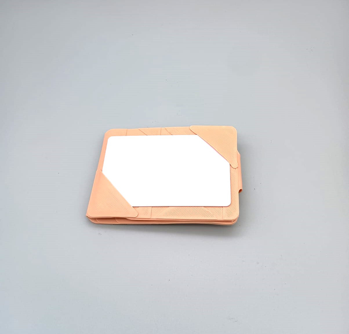 Nomad's ID & badge holder