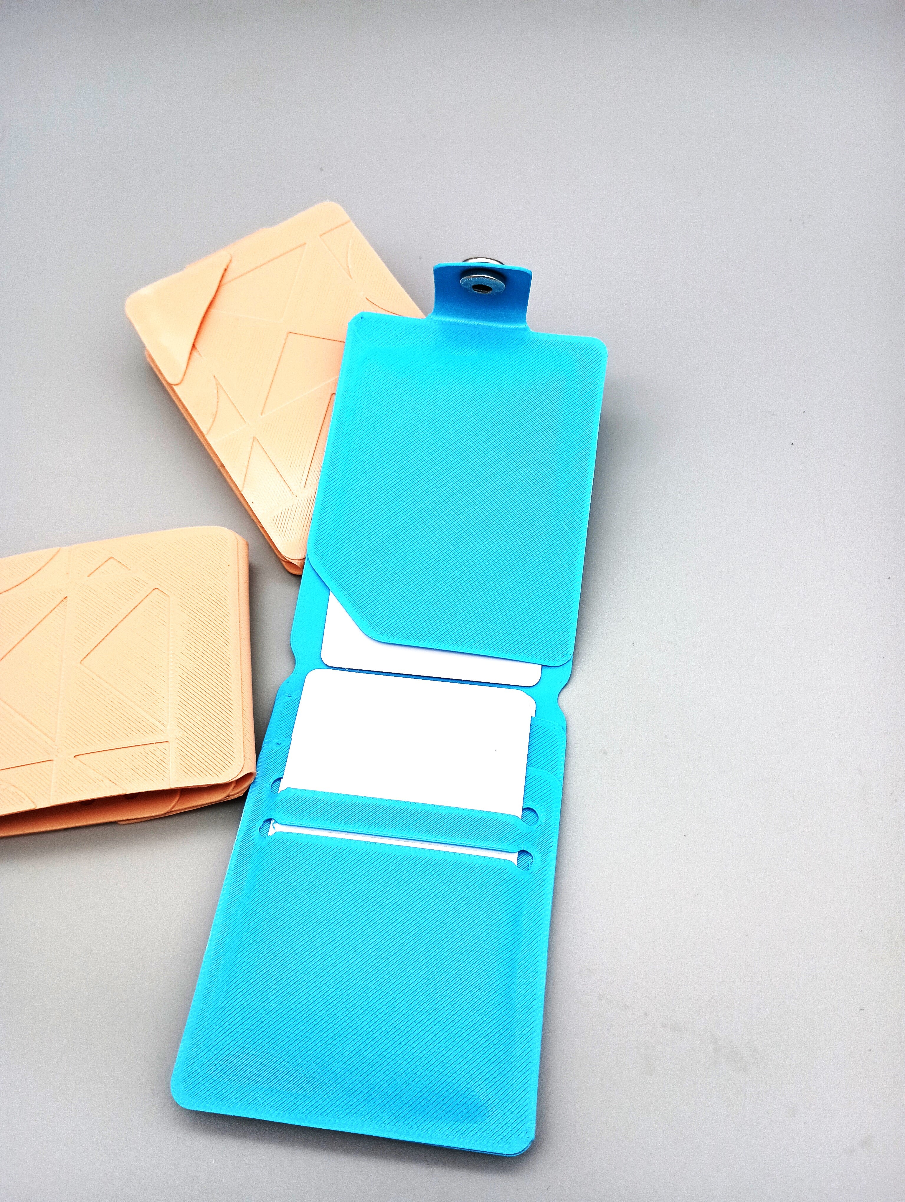 Nomad's ID & badge holder