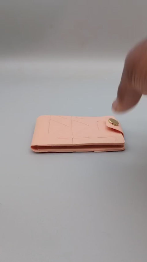 Nomad's ID & badge holder