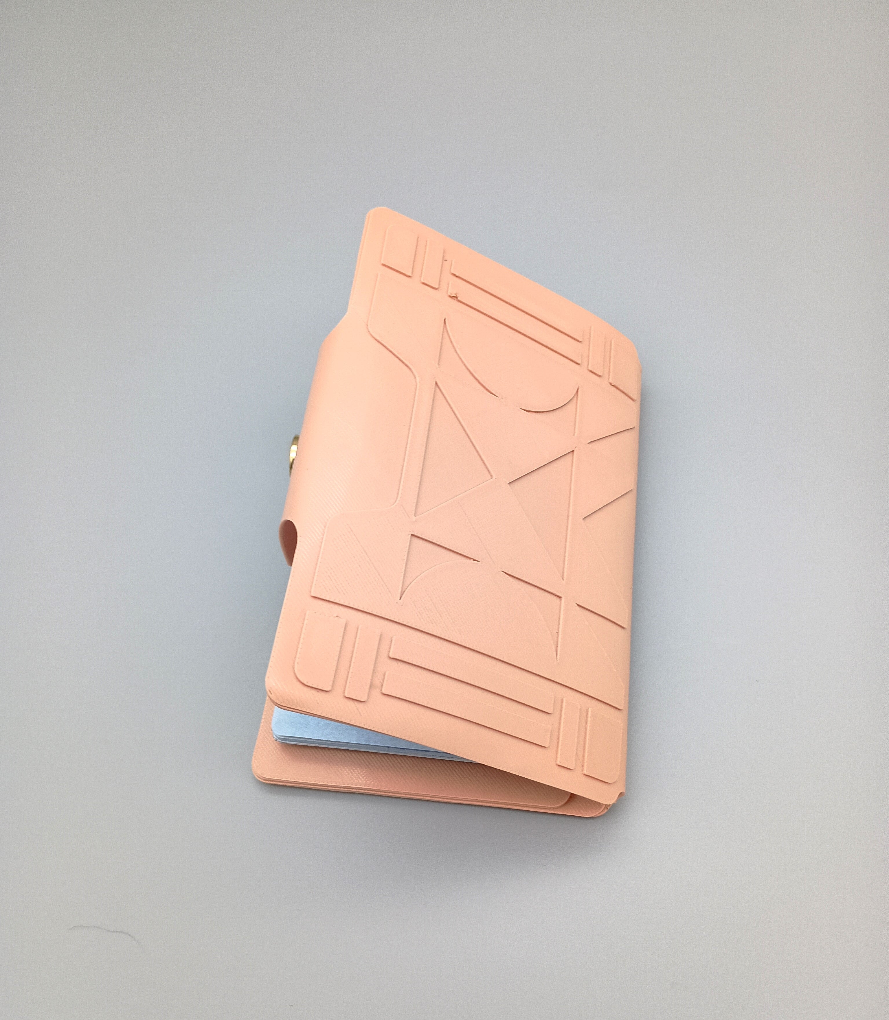 The Nomad passport digital